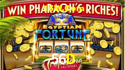 Casino Ao Vivo 56D